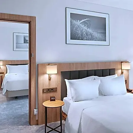 Hotel Hilton Garden Centre 4*